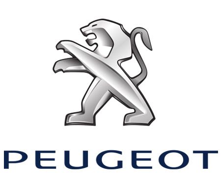 Peugeot Spares – Preparation for long drive with Genuine spares